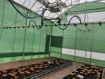大数据赋能 食用菌产业迈向智能化种植新时代