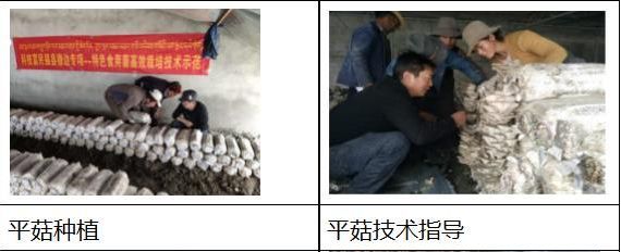 【脱贫攻坚-拉孜在行动】科技助力精准扶贫